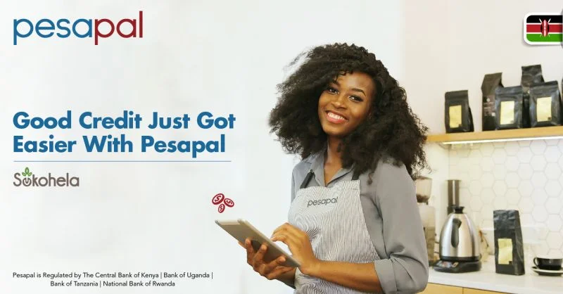 Pesapal Credit & Sokohela Digital Lending Solution for SMEs in Kenya